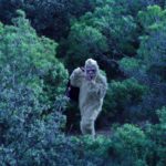 FB_IMG_1478604754062